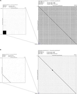 Comparative Genomics and Phylogenomic Analysis of the Genus Salinivibrio